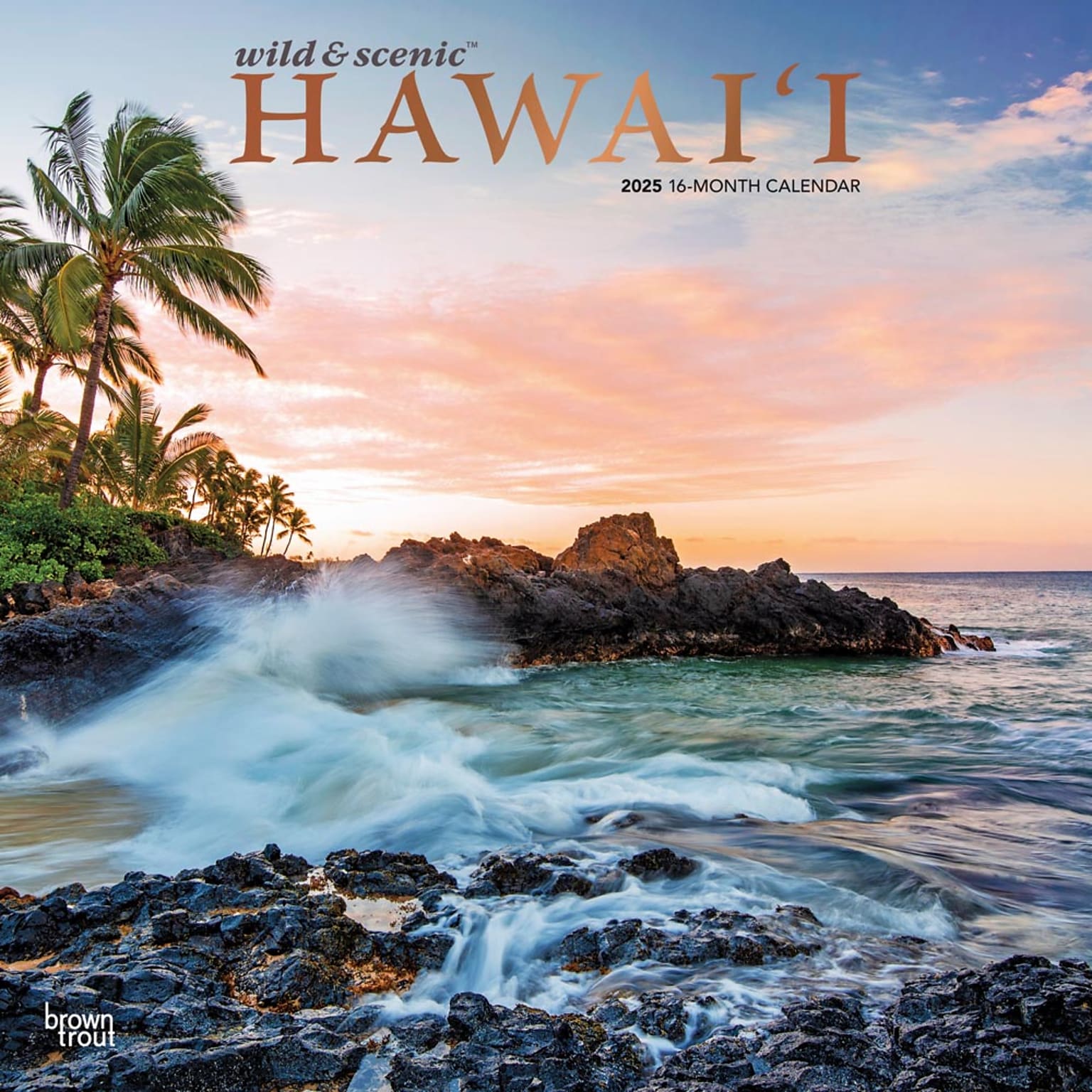 2025 BrownTrout Hawaii Wild & Scenic 12 x 12 Monthly  Wall Calendar (9781975474904)
