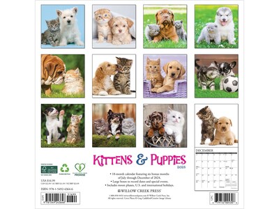 2025 Willow Creek Kittens & Puppies 12 x 12 Monthly Wall Calendar (43646)