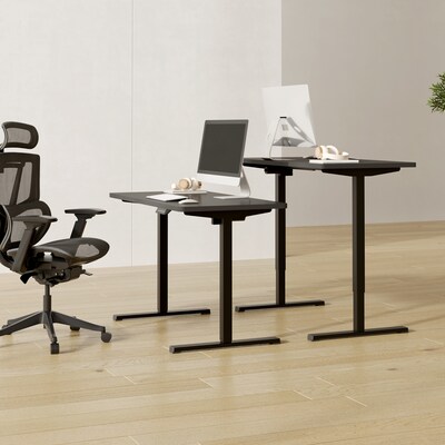 FlexiSpot ET155E 48"W Electric Rectangular Adjustable Standing Desk, Black