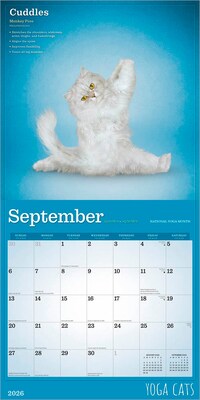 2026 BrownTrout Yoga Cats 12" x 12" Monthly Wall Calendar (9798330701919)