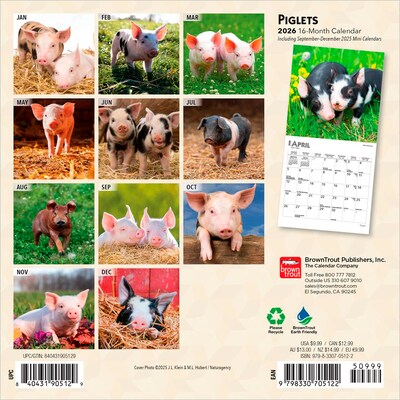 2026 BrownTrout Piglets 7 x 7 Monthly Wall Calendar (9798330705122)
