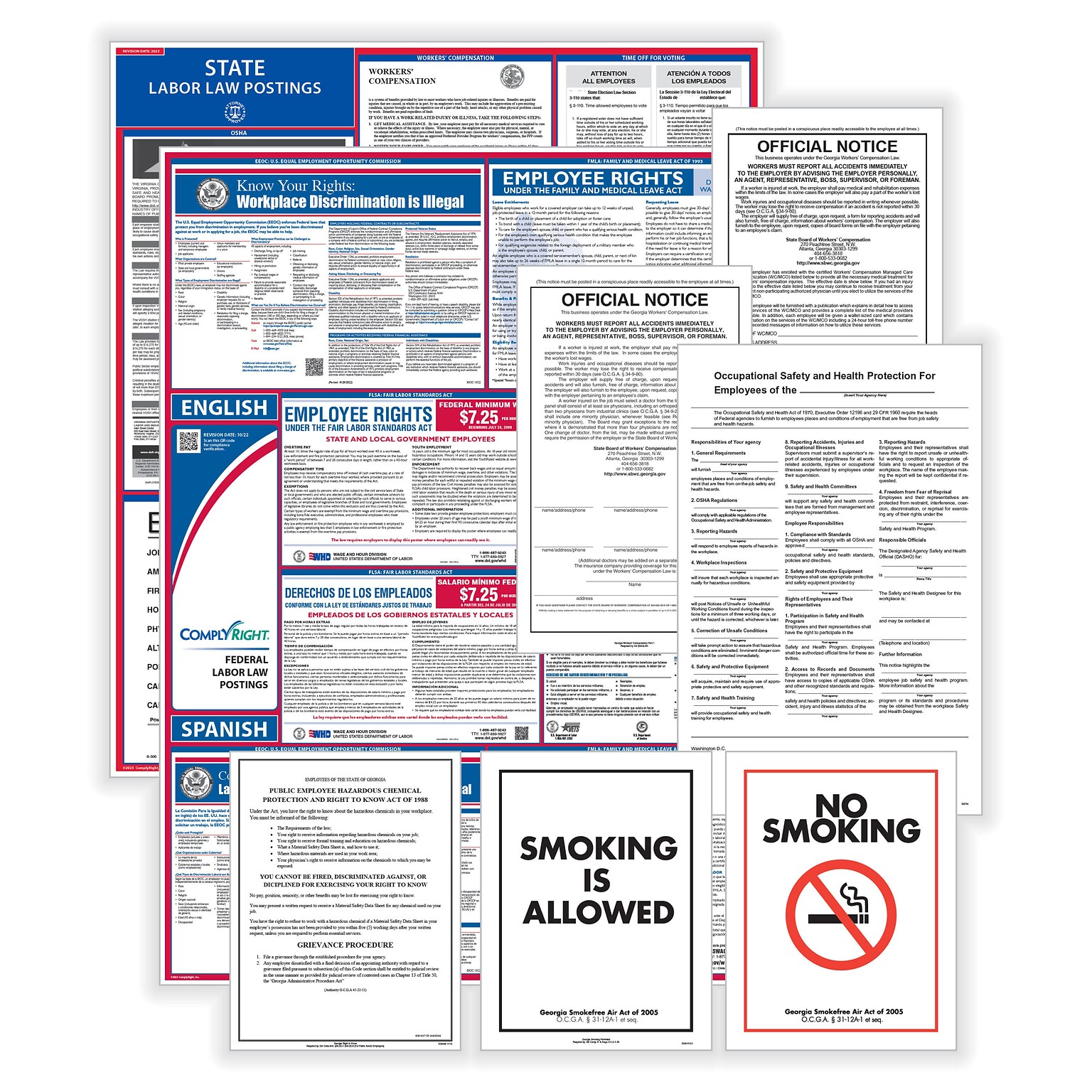 ComplyRight Federal (Bilingual), State and Public Sector (English) Labor Law Poster Set, Delaware (EFEDSTCRPSECBDE)