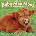 2023 BrownTrout Baby Moo Moos 12 x 12 Monthly Wall Calendar, (9781975451172)