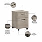 Bush Furniture 2-Drawer Mobile Vertical File Cabinet, Letter Size, 22.28"H x 15.51"W x 15.74"D, Washed Gray (KWF116WG-03)