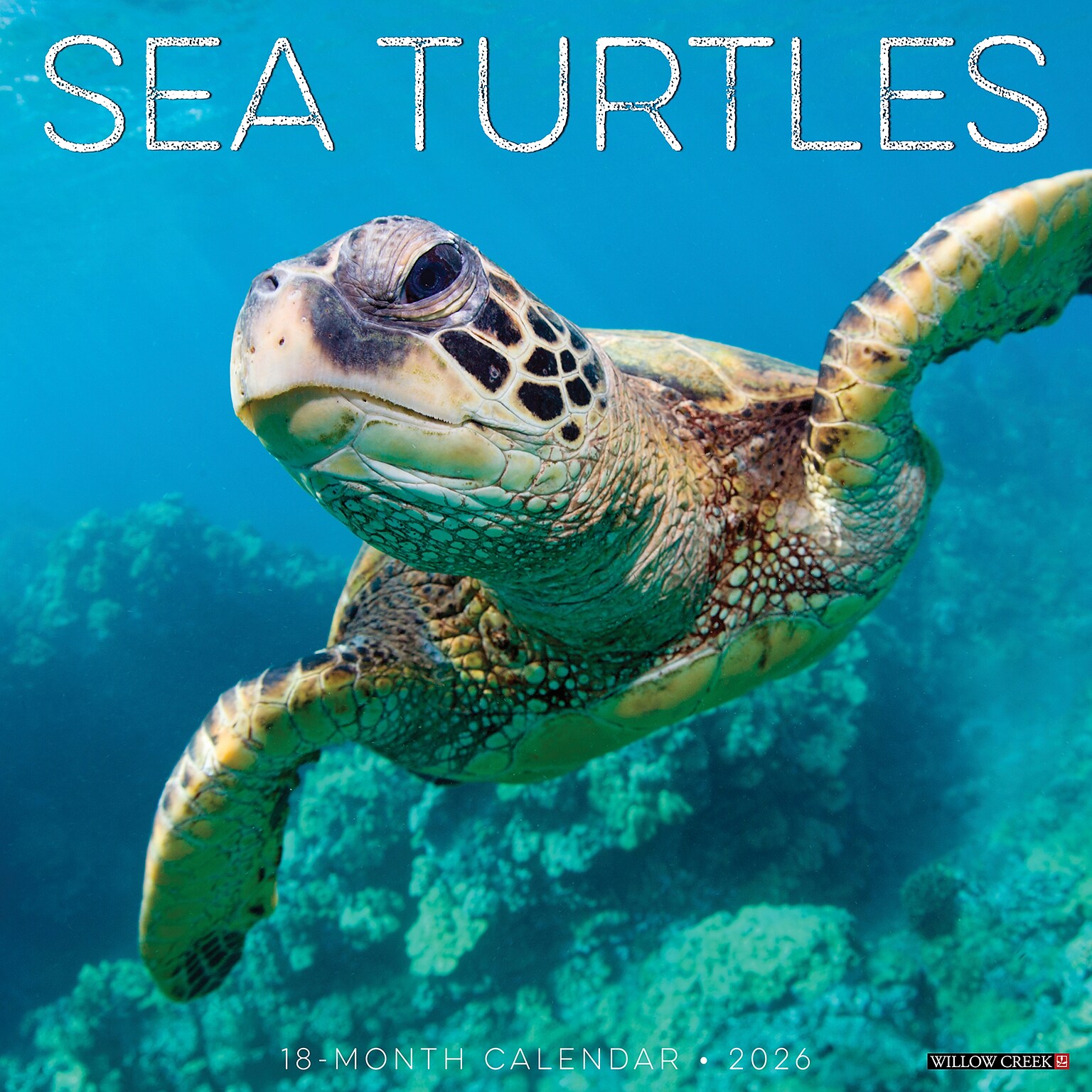 2026 Willow Creek Sea Turtles 12 x 12 Monthly Wall Calendar (55540)