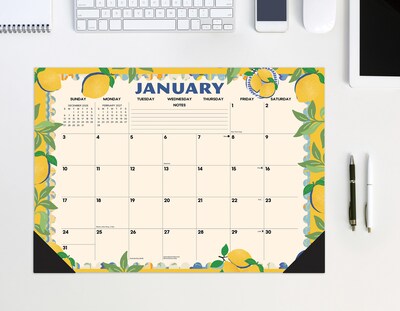 2027 Willow Creek Mediterranean Moments 17" x 12" Monthly Desk Pad Calendar, Assorted Colors (66478)