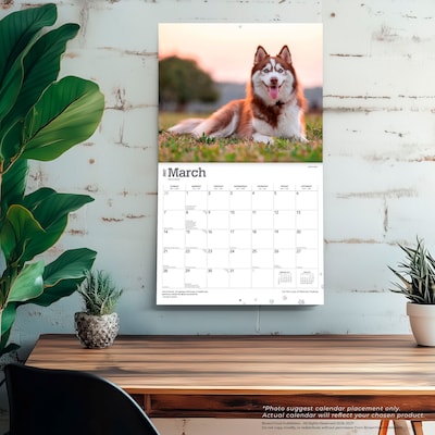 2027 BrownTrout For the Love of Siberian Huskies 14" x 12" Monthly Wall Calendar, Assorted Colors (9798330709274)