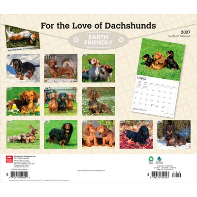 2027 BrownTrout For the Love of Dachshunds 14 x 12 Monthly Wall Calendar, Assorted Colors (9798330709243)