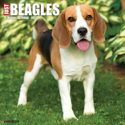 2027 Willow Creek Beagles 12 x 12 Monthly Wall Calendar, Assorted Colors (59104)