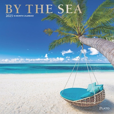 2025 Plato By the Sea 12 x 24 Monthly Square Wall Calendar, (9781975478919)