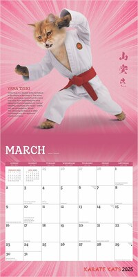 2025 BrownTrout Karate Cats 12" x 24" Monthly Square Wall Calendar, (9781975479831)