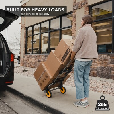 Mount-It! Folding Hand Truck and Dolly, Holds Up to 264 lbs. (MI-902)