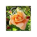 2024 BrownTrout Roses 12 x 12 Monthly Wall Calendar (9781975464820)