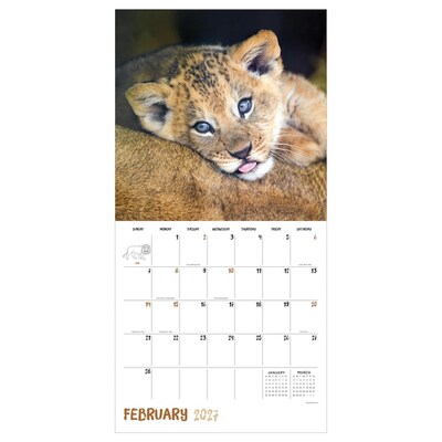 2027 TF Publishing Baby Animals 11" x 12" Monthly Wall Calendar (27-1000)