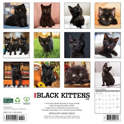 2026 Willow Creek Black Kittens 12 x 12 Monthly Wall Calendar (50293)