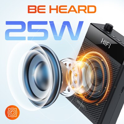 Delton A566 Bluetooth Voice Amplifier with Wireless Headset, Portable Amplifier with Microphone, Black (DVA566)