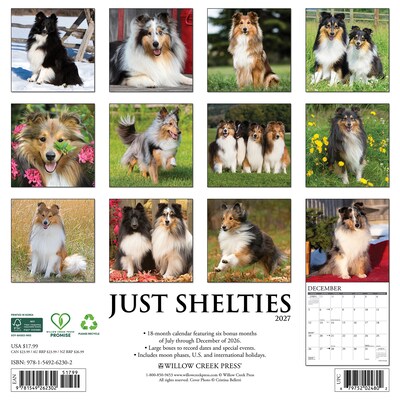 2027 Willow Creek Shelties 12 x 12 Monthly Wall Calendar, Assorted Colors (62302)