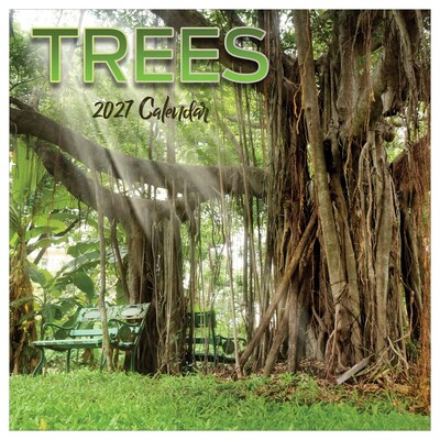 2027 TF Publishing Trees 10 x 12 Monthly Wall Calendar, Multicolored (27-1029)