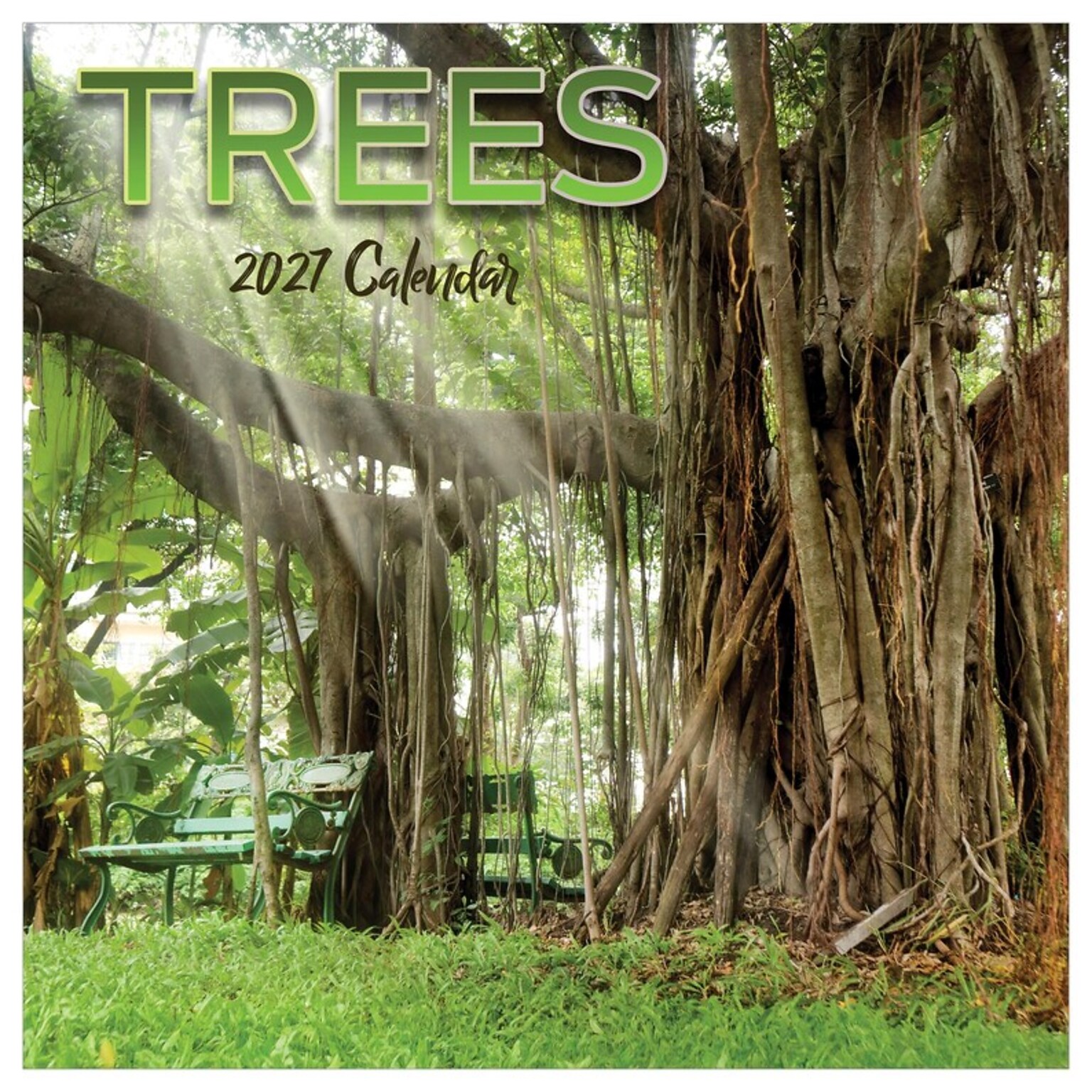 2027 TF Publishing Trees 10 x 12 Monthly Wall Calendar, Multicolored (27-1029)