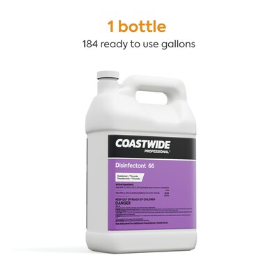 Coastwide Professional 66 Disinfectant and Sanitizer, 1 Gallon, 4/Carton (CW066CN01-A)
