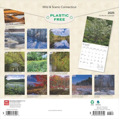 2025 BrownTrout Connecticut Wild & Scenic 12 x 24 Monthly Square Wall Calendar (9781975474720)