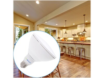 Viribright 8-Watt Cool White LED Floodlight Bulb, 4/Box (750333-4)