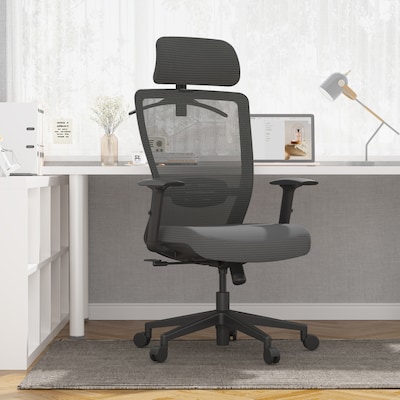 FlexiSpot Ergonomic Mesh Swivel Computer and Desk Chair, Gray (C3G-FM)