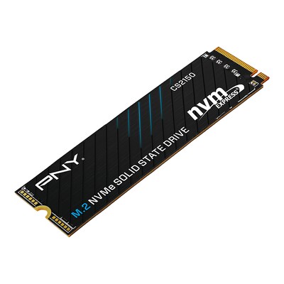 PNY CS2150 1TB M.2 Internal Solid State Drive (M280CS2150-1TB-TB)