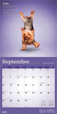 2026 Plato Yoga Puppies 12" x 12" Monthly Wall Calendar (9798330701995)