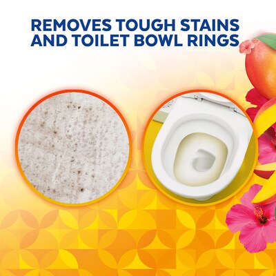 Lysol Brand New Day Disinfecting Toilet Bowl Cleaner, Mango & Hibiscus Scent, 24 oz. (19200-98390)