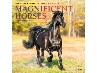 2023-2024 Plato Magnificent Horses 12 x 12 Academic & Calendar Monthly Wall Calendar (978197546717