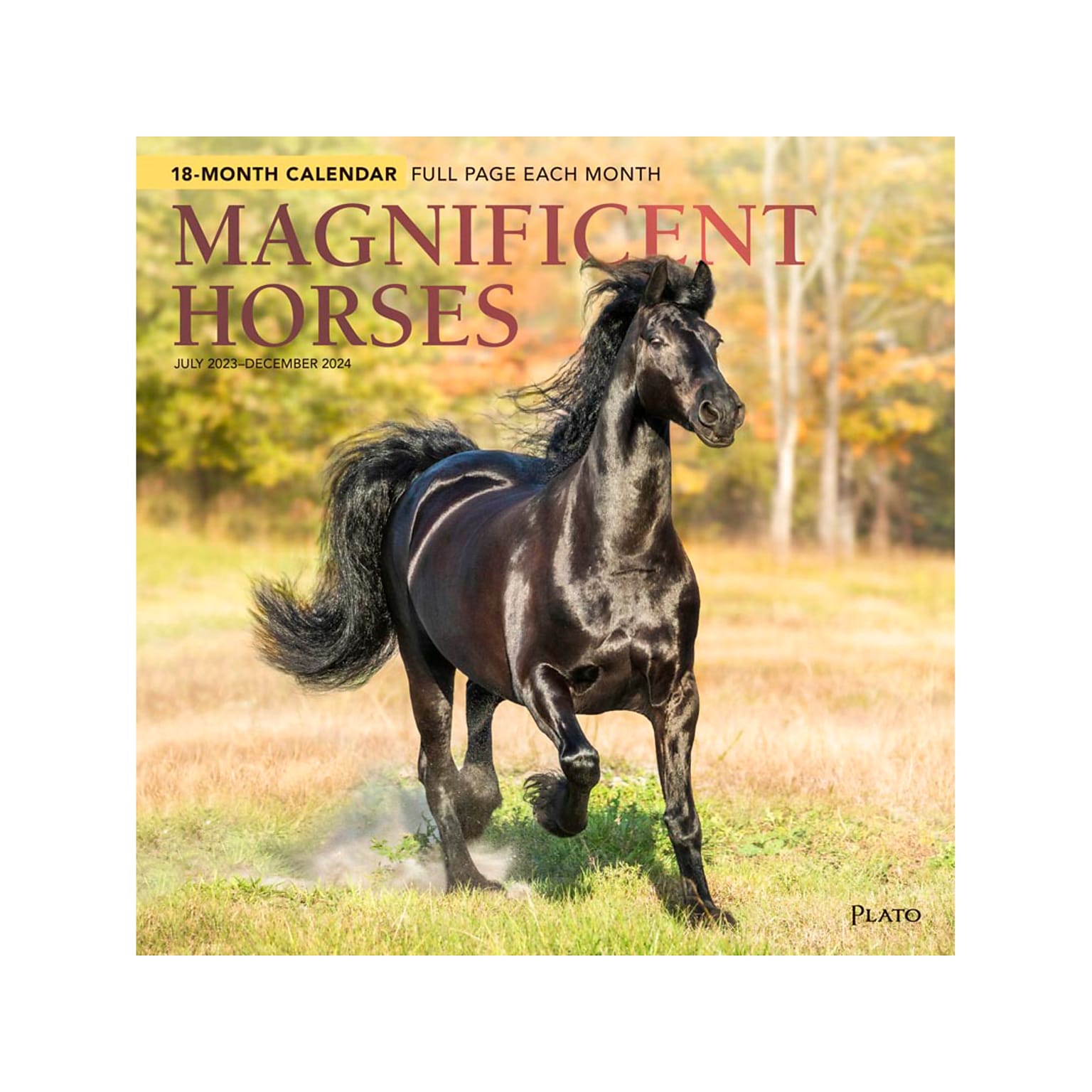 2023-2024 Plato Magnificent Horses 12 x 12 Academic & Calendar Monthly Wall Calendar (9781975467173)