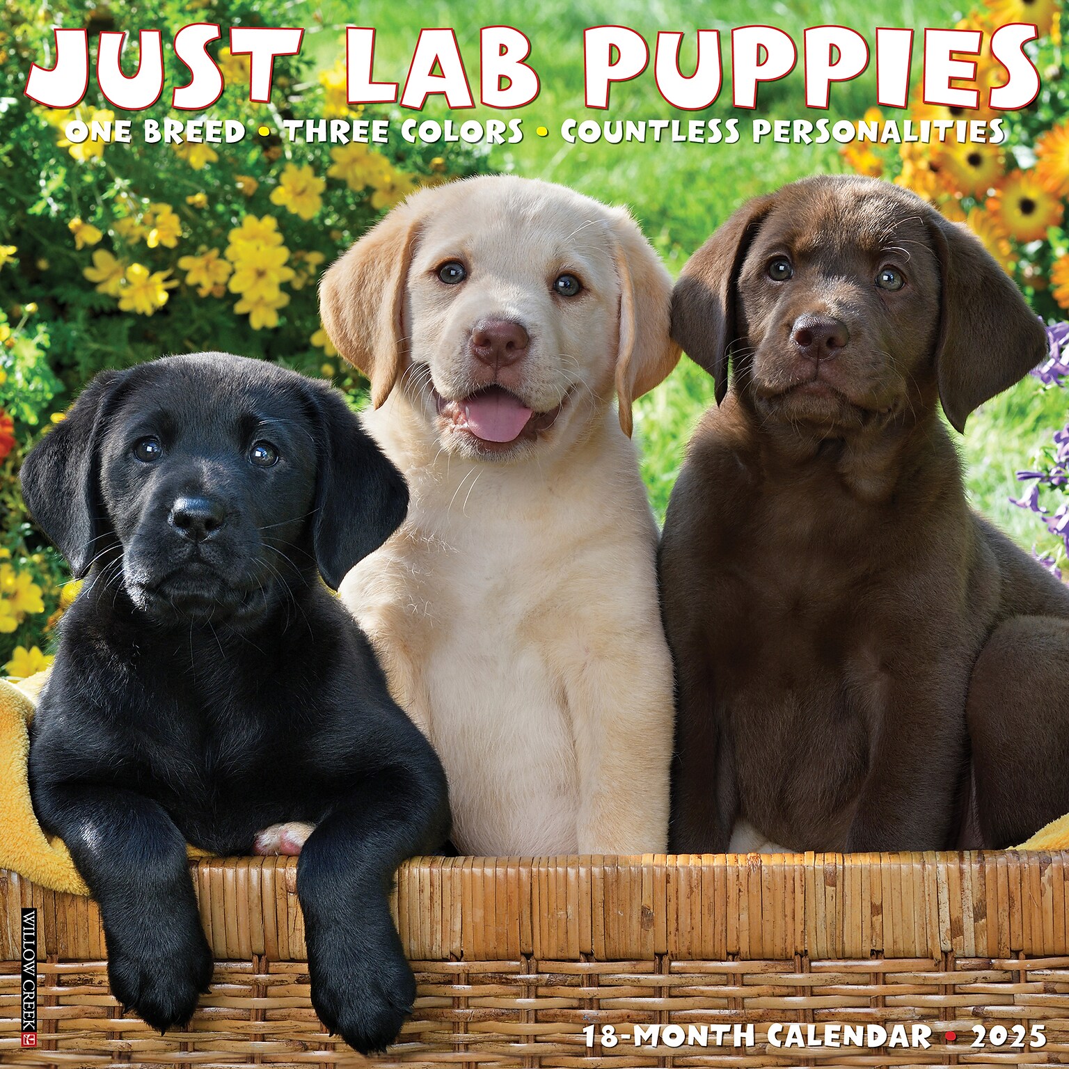 2025 Willow Creek Just Lab Puppies 12 x 12 Monthly Wall Calendar (43653)