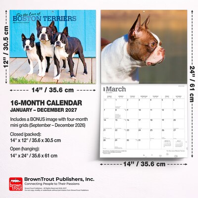 2027 BrownTrout For the Love of Boston Terriers 14" x 12" Monthly Wall Calendar, Assorted Colors (9798330714667)