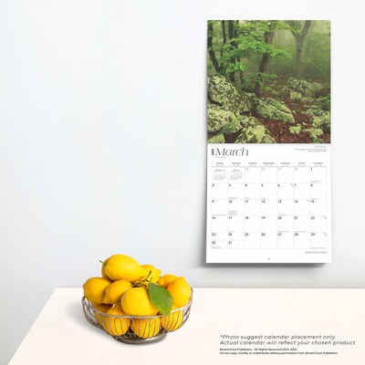 2025 BrownTrout Virginia Wild & Scenic 12" x 12" Monthly Wall Calendar (9781975475864)