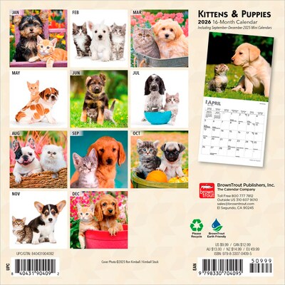 2026 BrownTrout Kittens & Puppies 7 x 7 Monthly Wall Calendar (9798330704095)