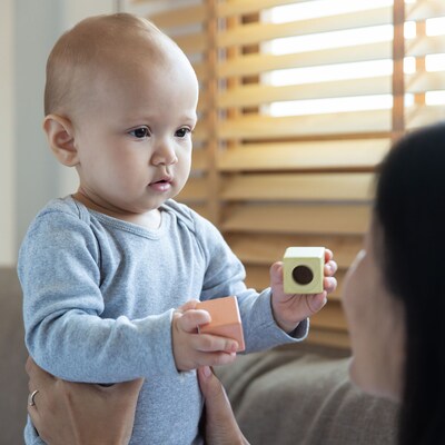 Plan Toys Wooden Sensory Blocks, Assorted Colors, 6/Set (PTS5257)