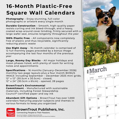 2026 BrownTrout Welsh Corgis 12" x 12" Monthly Wall Calendar (9798330706235)