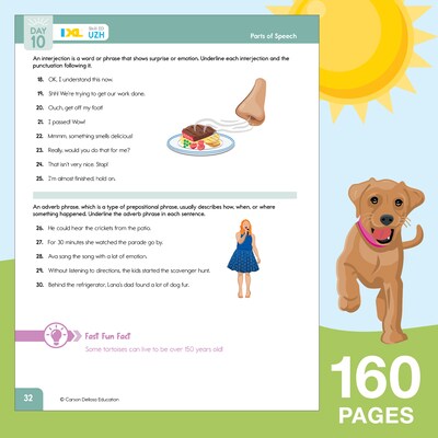 Summer Bridge Activities Paperback Grades 5-6 Activity Book (705520)