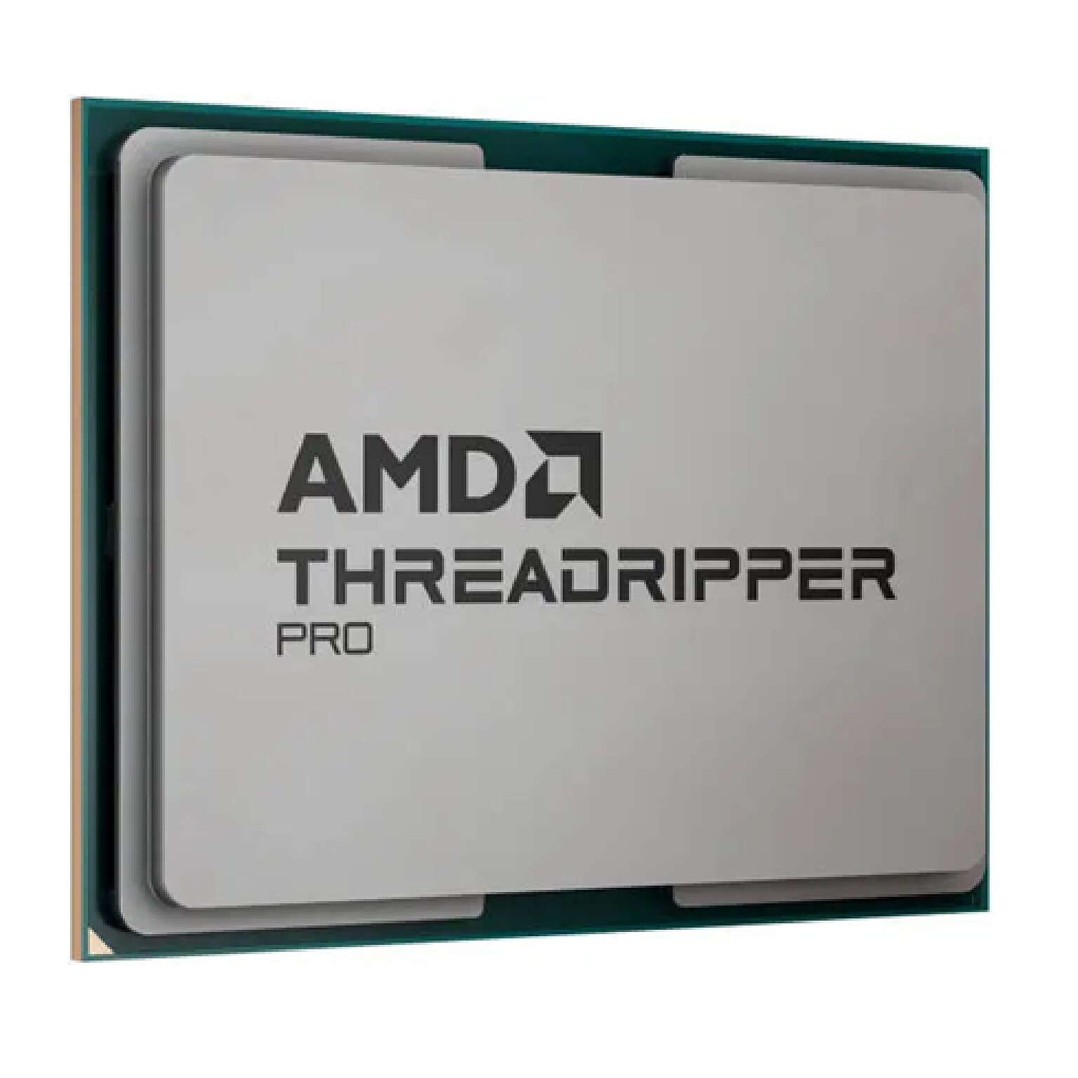 AMD Ryzen Threadripper PRO 9955WX 16-Core 4.5 GHz Computer Processor, Socket sTR5 (100-100000725WOF)