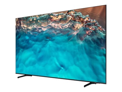 Samsung 65" Smart 4K Ultra TV (HG65BU800NFXZA)