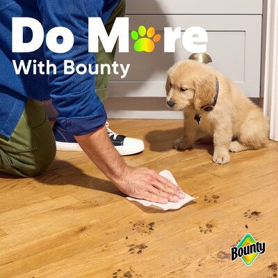 Bounty Select-A-Size Double Plus Paper Towels, 2-ply, 103 Sheets/Roll, 8 Rolls/Pack (92740)