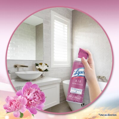 Lysol Air Sanitizer Spray, Sunkissed Petals Scent, 10 oz., 6/Carton (19200-56148)