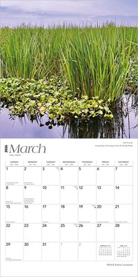2026 BrownTrout Louisiana Wild & Scenic 12" x 12" Monthly Wall Calendar (9798330704408)