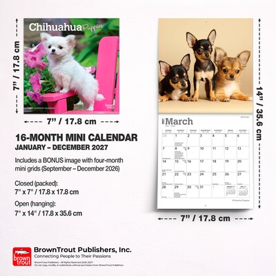 2027 BrownTrout Chihuahua Puppies 7" x 7" Monthly Wall Calendar, Assorted Colors (9798330709960)