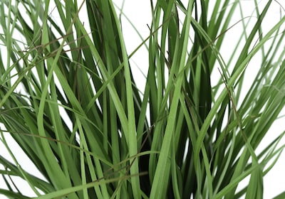 Monarch Specialties Inc. 23" Artificial Grass Plant in Pot (I 9575)