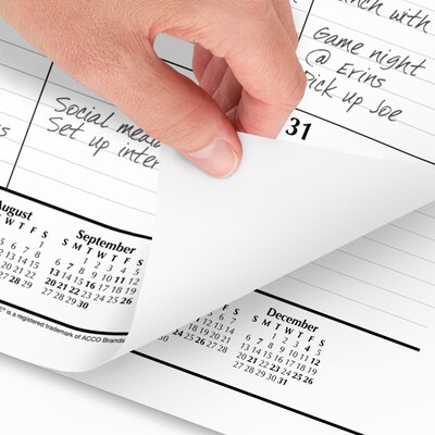 2026 AT-A-GLANCE 21.75" x 17" Monthly Desk Pad Calendar, White/Black (SK22-00-26)