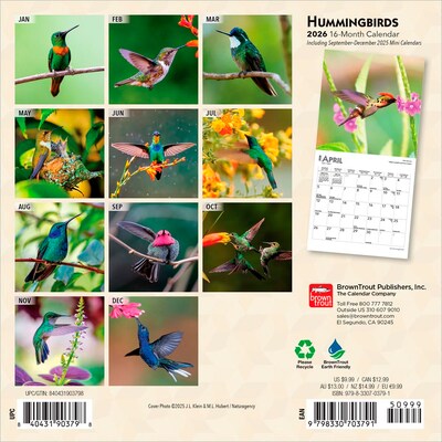 2026 BrownTrout Hummingbirds 7 x 7 Monthly Wall Calendar (9798330703791)