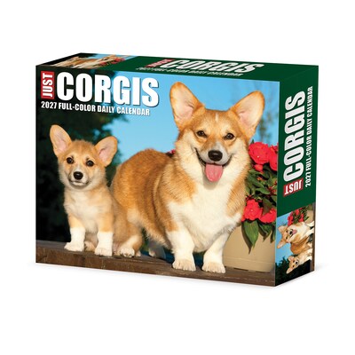 2027 Willow Creek Corgis 6.2 x 5.4 Daily Day-to-Day Calendar, Assorted Colors (63354)