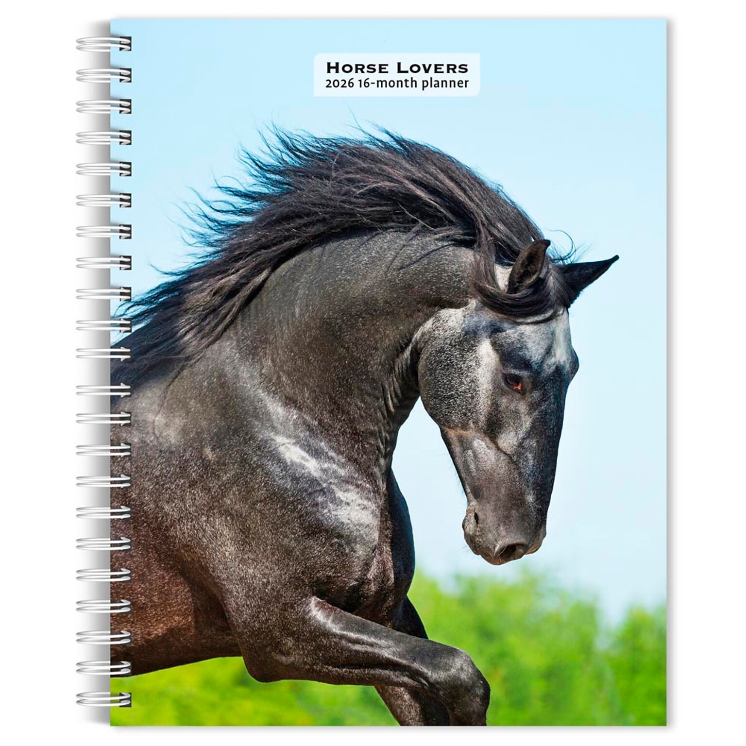 2026 BrownTrout Horse Lovers 6.5 x 7.75 Weekly Planner (9798330703692)